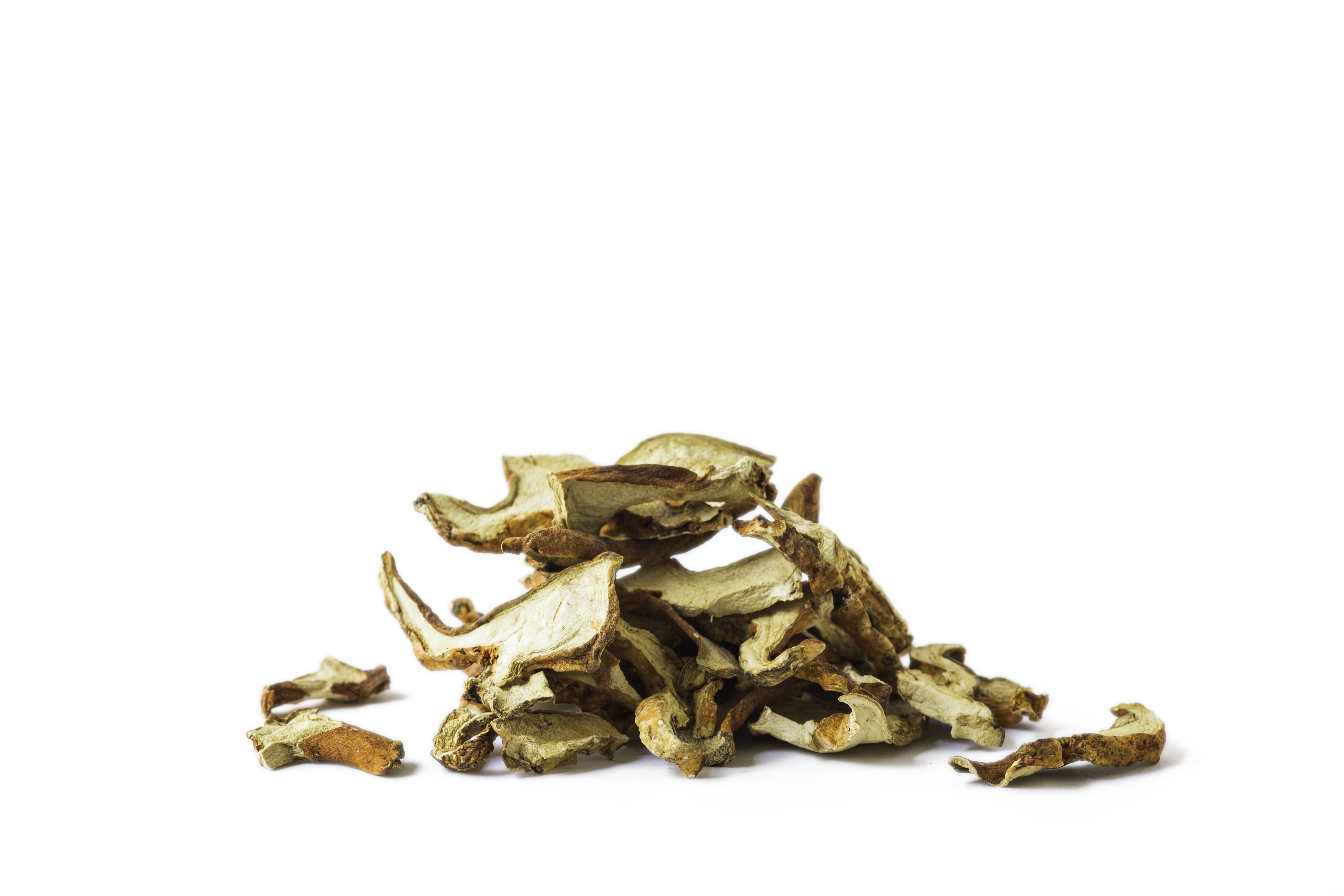 Dried Wild Lobster Mushrooms / 2oz